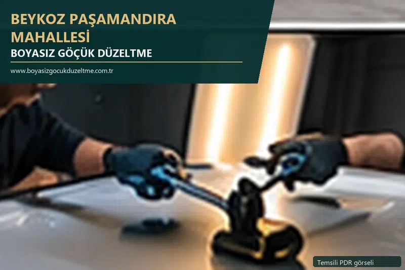 Beykoz Paşamandıra Mahallesi sabit nokta ve mobil PDR randevusunu anlatan temsili otomobil hizmeti görseli