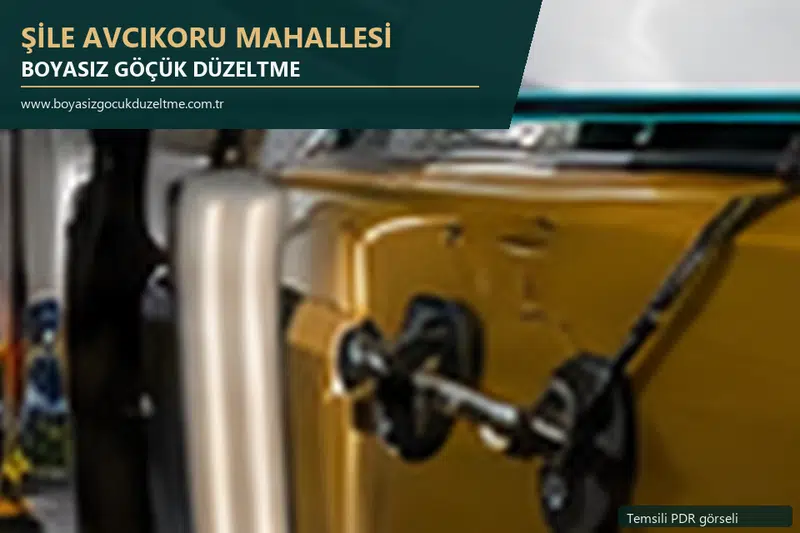 Şile Avcıkoru Mahallesi sabit nokta ve mobil PDR randevusunu anlatan temsili otomobil hizmeti görseli